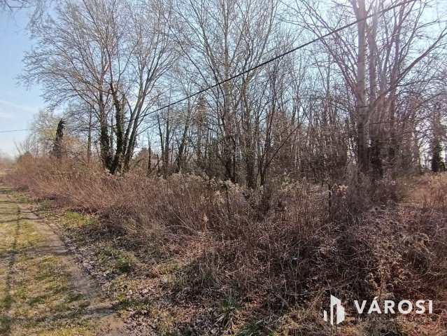 Eladó telek, Dömsödön 9.9 M Ft / költözzbe.hu
