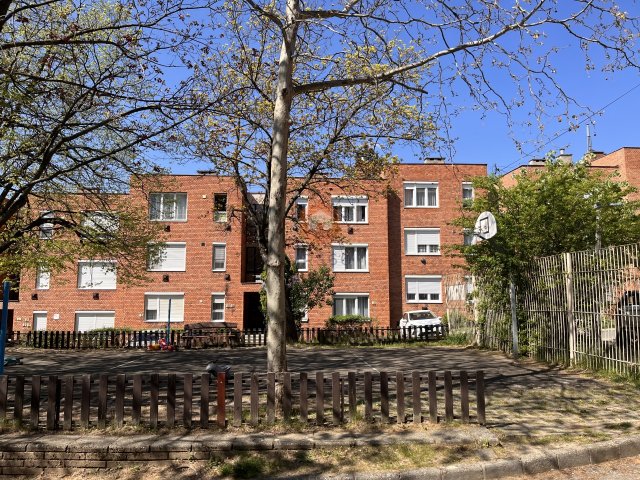 Kiadó téglalakás, albérlet, Pécsett, Haas Mihály téren