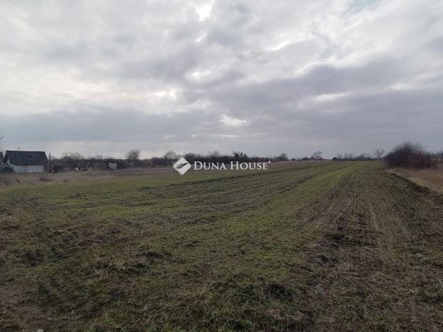 Eladó telek, Mezőfalván 1.4 M Ft / költözzbe.hu