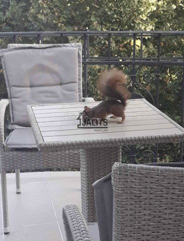 Eladó téglalakás, II. kerületben, Heinrich István utcában