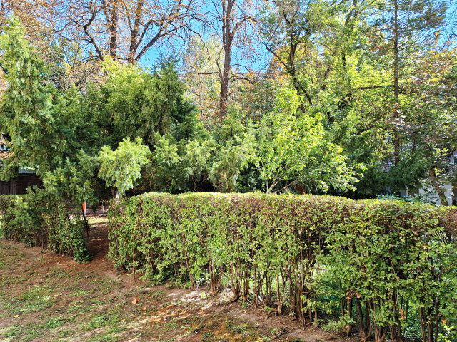 Kiadó téglalakás, albérlet, Budapesten, III. kerületben