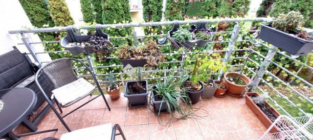 Eladó téglalakás, Győrött 55 M Ft, 1+1 szobás