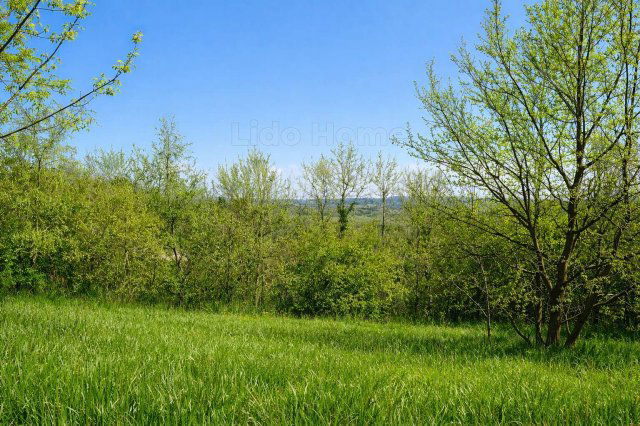 Eladó mezogazdasagi ingatlan, Kehidakustányban 4.99 M Ft