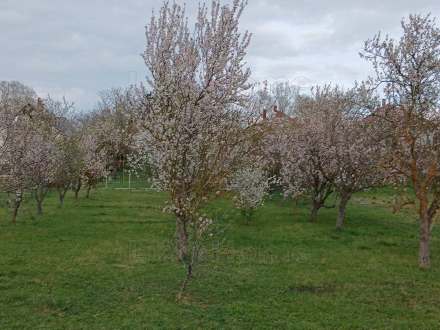 Eladó telek, Balatongyörökön 36.5 M Ft / költözzbe.hu