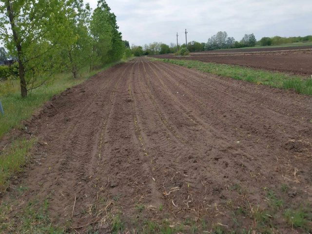 Eladó telek, Albertirsán 2 M Ft / költözzbe.hu