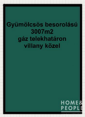 Eladó telek, Domaszéken 3.8 M Ft / költözzbe.hu