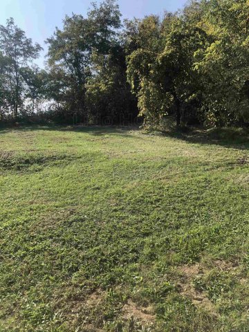 Eladó mezogazdasagi ingatlan, Zalaszentgróton 10 M Ft