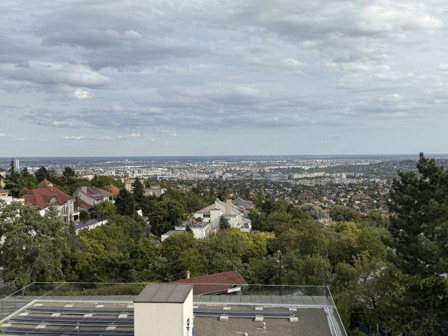 Kiadó családi ház, albérlet, XII. kerületben, Ámor utcában