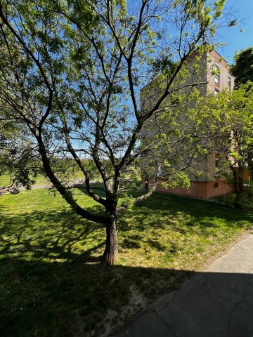 Eladó téglalakás, Pécsett 49.9 M Ft, 3 szobás
