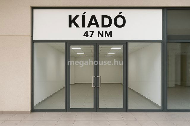 Kiadó üzlethelyiség, Budaörsön 840 E Ft / hó