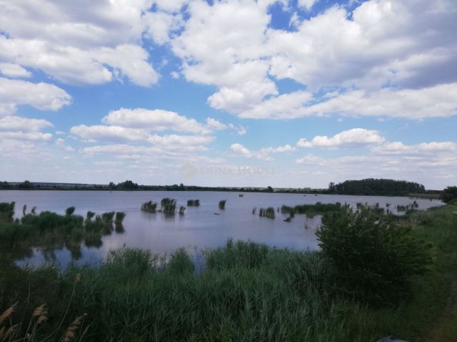 Eladó mezogazdasagi ingatlan, Tiszasülyön 450 M Ft