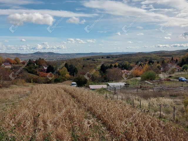 Eladó telek, Nyúlon 34.9 M Ft / költözzbe.hu