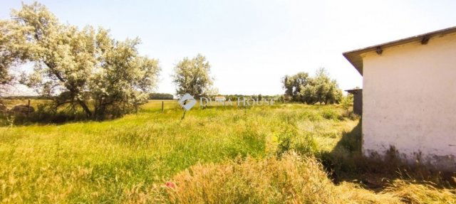 Eladó mezogazdasagi ingatlan, Pusztaszeren 32 M Ft, 5 szobás