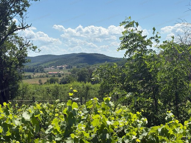 Eladó mezogazdasagi ingatlan, Kékkúton 27 M Ft