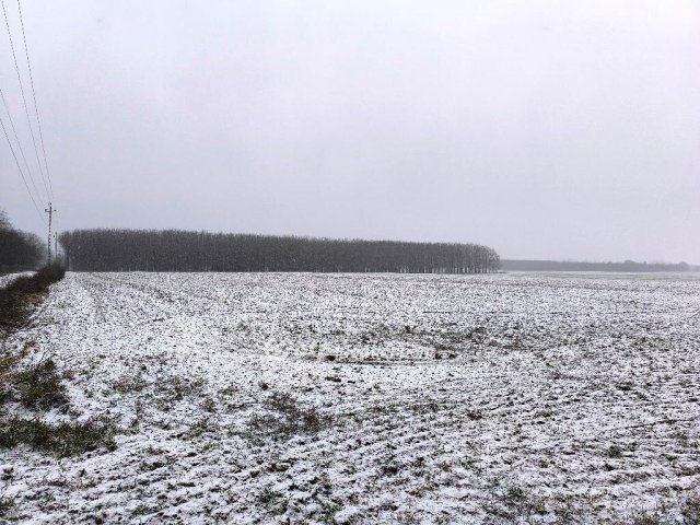 Eladó ipari ingatlan, Ócsán 1436 M Ft / költözzbe.hu