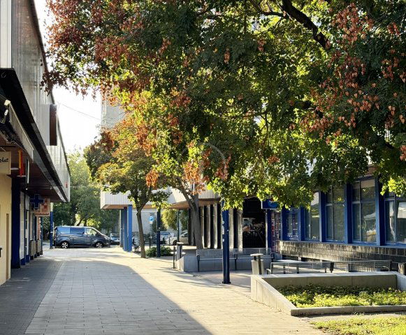 Kiadó üzlethelyiség, Budapesten, XIV. kerületben 259 E Ft / hó