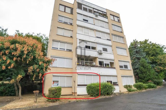 Kiadó téglalakás, albérlet, Szekszárdon, Alisca utcában