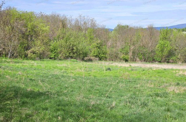 Eladó mezogazdasagi ingatlan, Vértesszőlősön 6.5 M Ft