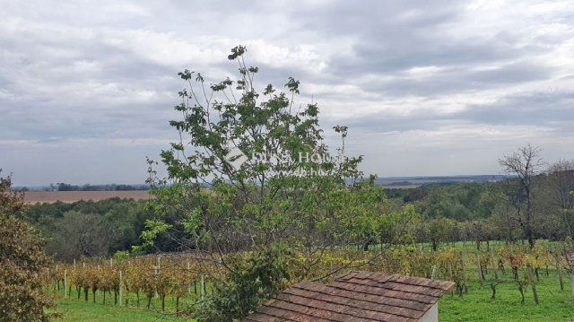 Eladó családi ház, Rigyácon 10.9 M Ft, 1 szobás