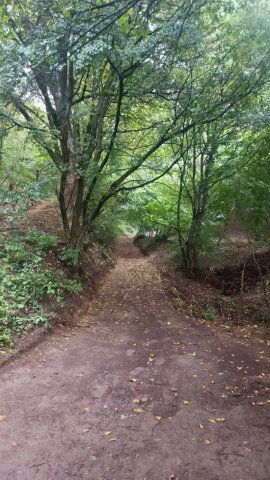 Eladó telek, Visegrádon, Csukavölgy utcában 15 M Ft