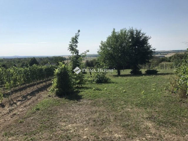 Eladó telek, Zámolyon 12 M Ft / költözzbe.hu