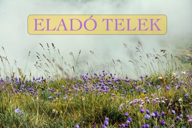 Eladó telek, Sződön 13.9 M Ft / költözzbe.hu