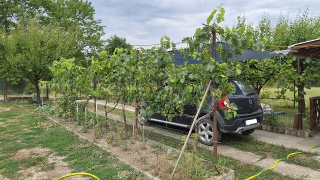 Eladó családi ház, Dömsödön 42.5 M Ft, 3 szobás