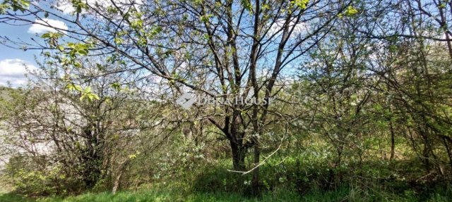 Eladó családi ház, Ivádon 12.8 M Ft, 7 szobás