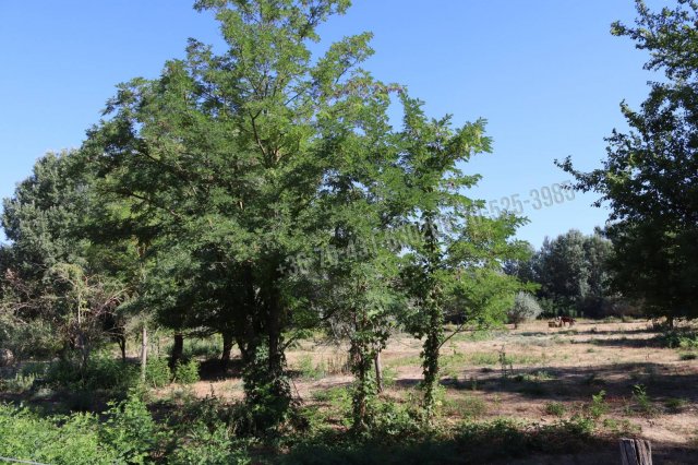 Eladó ipari ingatlan, Piliscsabán 89.99 M Ft