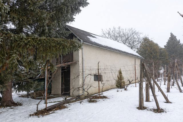 Eladó családi ház, Sümegen 20.9 M Ft, 1 szobás