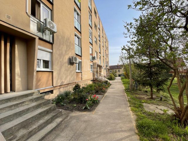 Kiadó panellakás, albérlet, Székesfehérvárott 160 E Ft / hó