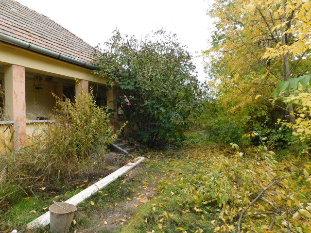 Eladó családi ház, Tápiószentmártonon 9.8 M Ft, 1 szobás