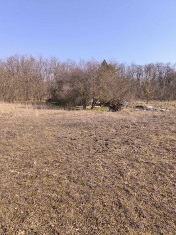 Eladó családi ház, Albertirsán 21.9 M Ft, 1 szobás