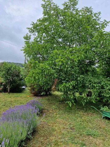 Eladó nyaraló, Balatonfüreden 79 M Ft, 2 szobás