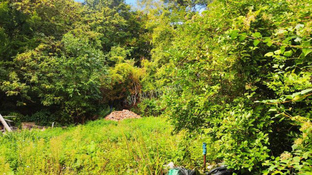 Eladó telek, Budapesten, II. kerületben 289 M Ft