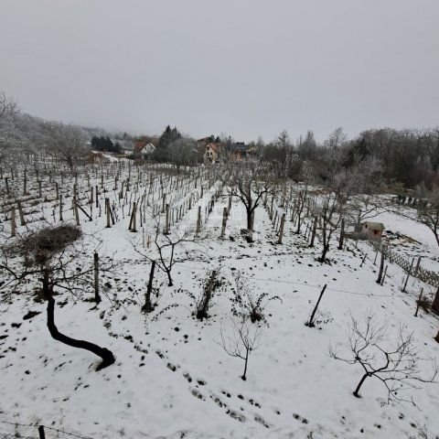 Eladó nyaraló, Csopakon 74.9 M Ft, 2+3 szobás