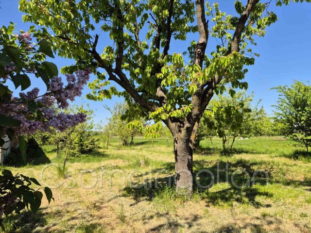 Eladó telek, Pálin 4.73 M Ft / költözzbe.hu