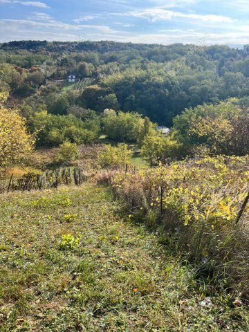 Eladó telek, Pethőhenyen 1.5 M Ft / költözzbe.hu