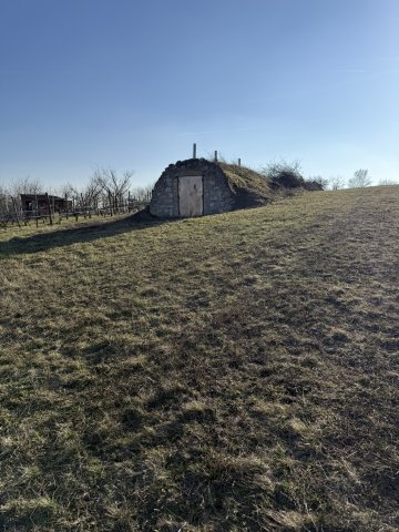 Eladó mezogazdasagi ingatlan, Csákváron 5.5 M Ft