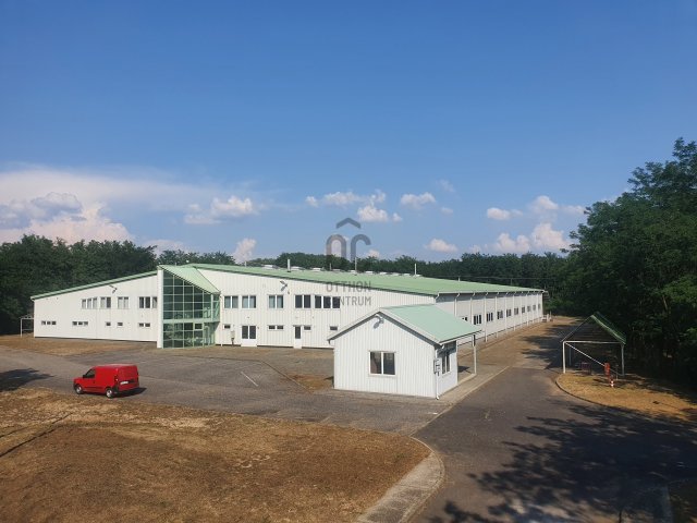 Eladó ipari ingatlan, Baktalórántházán 690 M Ft