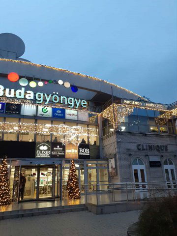 Kiadó ipari ingatlan, Budapesten, II. kerületben, Pázsit utcában