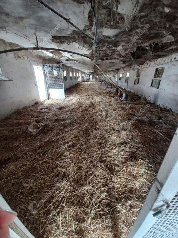 Eladó mezogazdasagi ingatlan, Szabadiban 92.6 M Ft