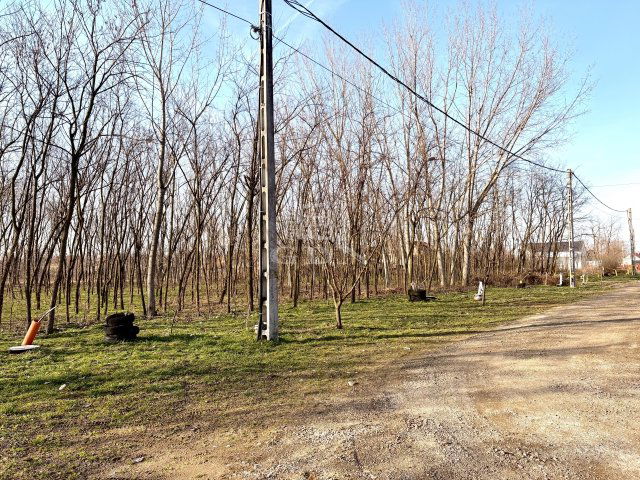 Eladó telek, Újfehértón 17 M Ft / költözzbe.hu