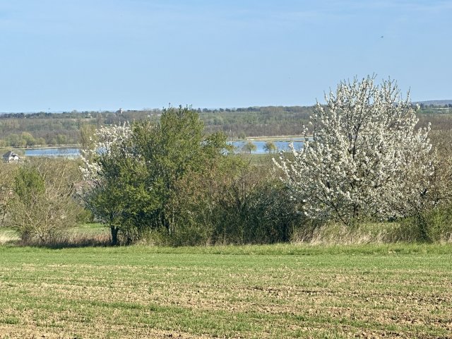 Eladó mezogazdasagi ingatlan, Alsópáhokon 27 M Ft