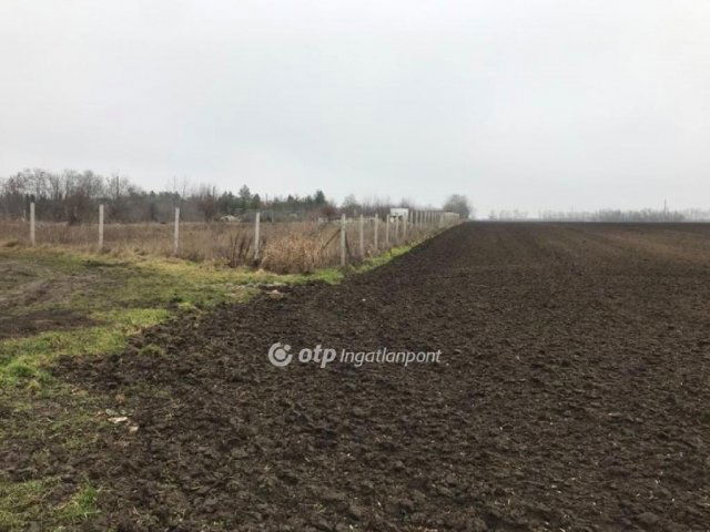 Eladó telek, Velencén 30 M Ft / költözzbe.hu