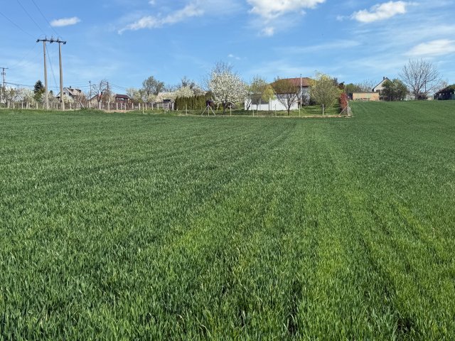 Eladó telek, Cserszegtomajon 14.9 M Ft / költözzbe.hu