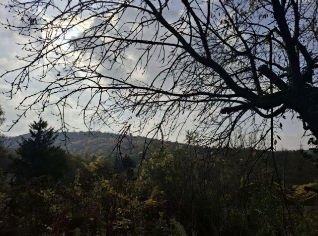 Eladó telek, Biatorbágyon 54.9 M Ft / költözzbe.hu