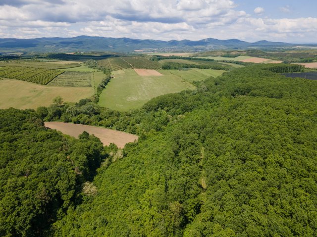 Eladó telek, Nógrádon 30.9 M Ft / költözzbe.hu