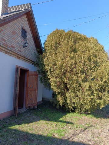 Eladó mezogazdasagi ingatlan, Bölcskén 9.9 M Ft