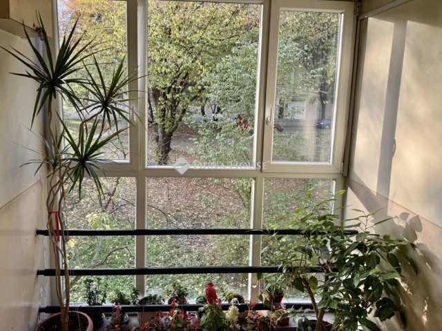 Eladó téglalakás, Budapesten, XIV. kerületben 65 M Ft, 2 szobás